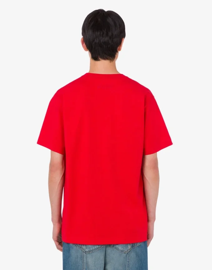 T-shirt in jersey di cotone biologico Goose